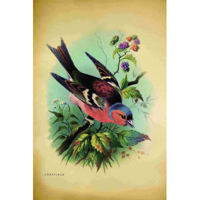 Oiseau, impression sur toile tendue