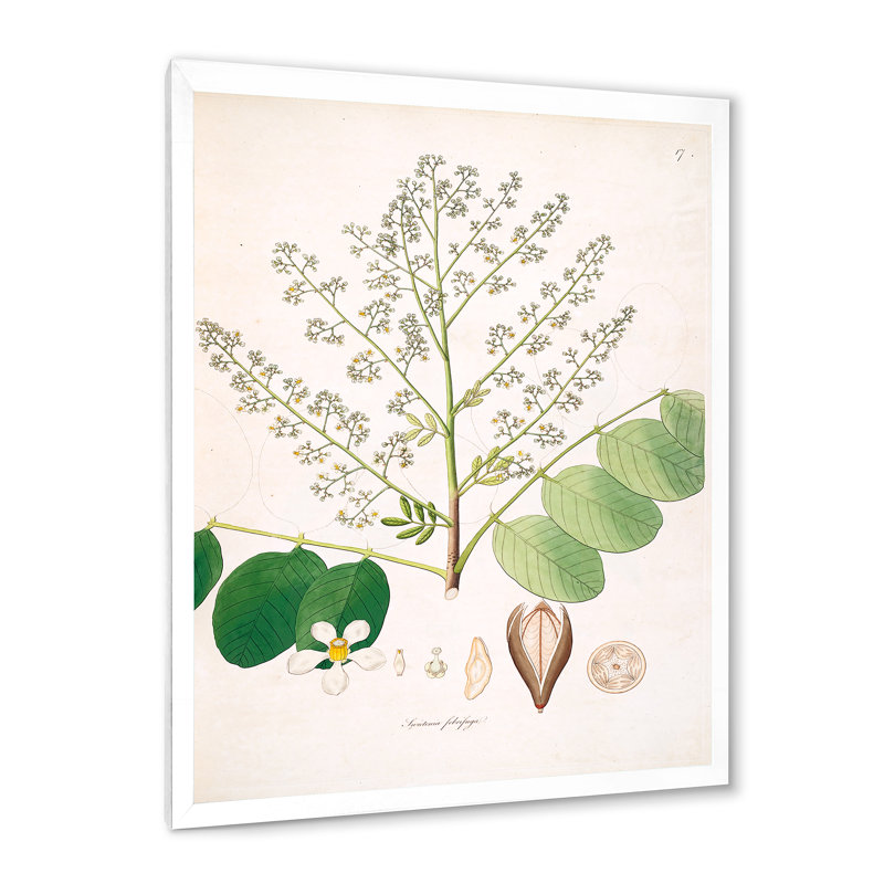 Botanique rétro - peinture sur toile, Cadre photo blanc, H 32 po x l 24 po x P 1 po