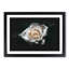 A White Rose - Picture Frame Graphic Art Print-56875871-56875872