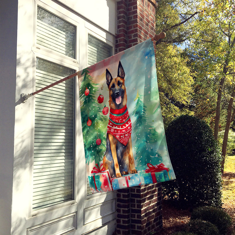 Drapeau de jardin en polyester , H 40 po x l 28 po