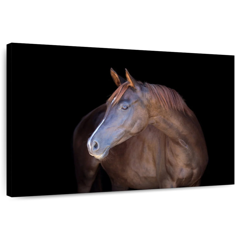 Dark Brown Horse, 34" H x 51" W