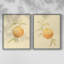 «Dappled Oranges III», reproduction encadrée de qualité supérieure - prête à être accrochée - aucun clou requis - aucun clou requis-204122232-204122225
