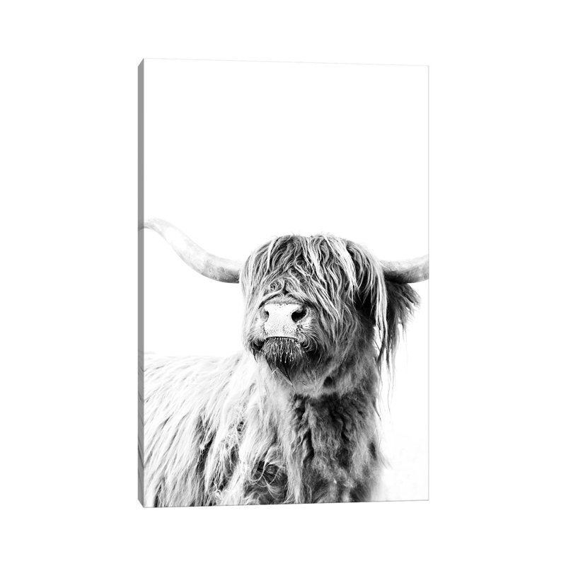 Highland Cattle Frida II by Monika Strigel - Wrapped Canvas Print, 30.48 cm H x 45.72 cm W