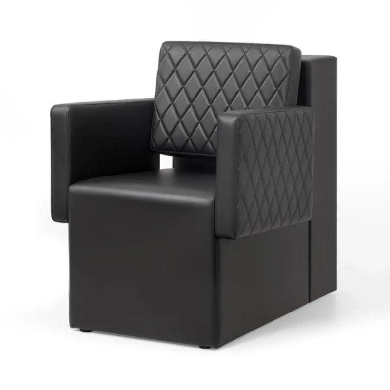 Fauteuil de séchage professionnel, Noir, noir, noir, noir