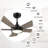 Billylee 52'' Ceiling Fan with LED Lights
