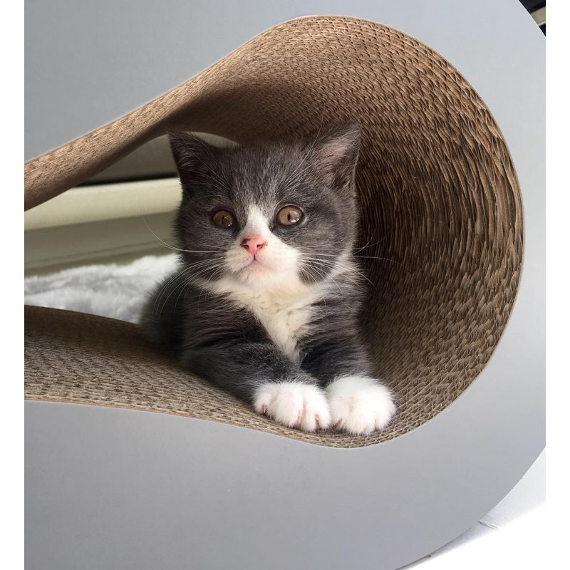 Charcoal Gray Recycled Cardboard Cat Scratcher Lounge