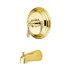 Polished Brass