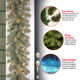 The Holiday Aisle® Downswept Douglas Garland with Lights