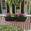 Customer photo 2 of 3
