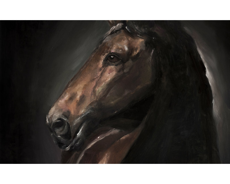 Spirit the Horse Door Mat - Living Room Decor for Home, 21" W x 34" L