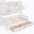 Twin Size Wooden Daybed With 2 Drawers, and All-in-One Cabinet and Shelf, White-751676560-751676561