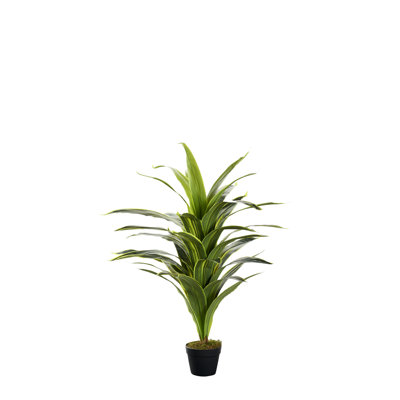 Arbre à fleurs faux 48 po Dracaena