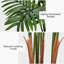 60 plantes-826690847