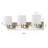 3 - Light Dimmable Vanity Light