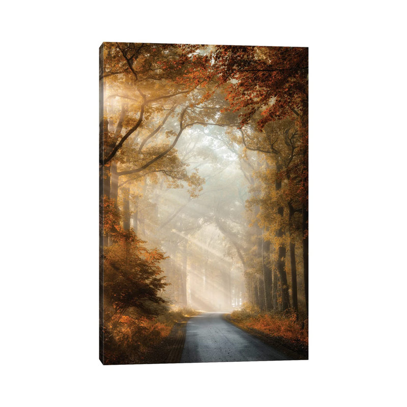 Bliss Is by Lars Van de Goor - 1 Piece Wrapped Canvas Wall Art, 101.6 cm H x 66.04 cm W x 1.91 cm D