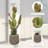 72cm Artificial Cactus (2 Pack) in EVA Pot - Faux Cactus Plants for Indoor Home & Office Decor