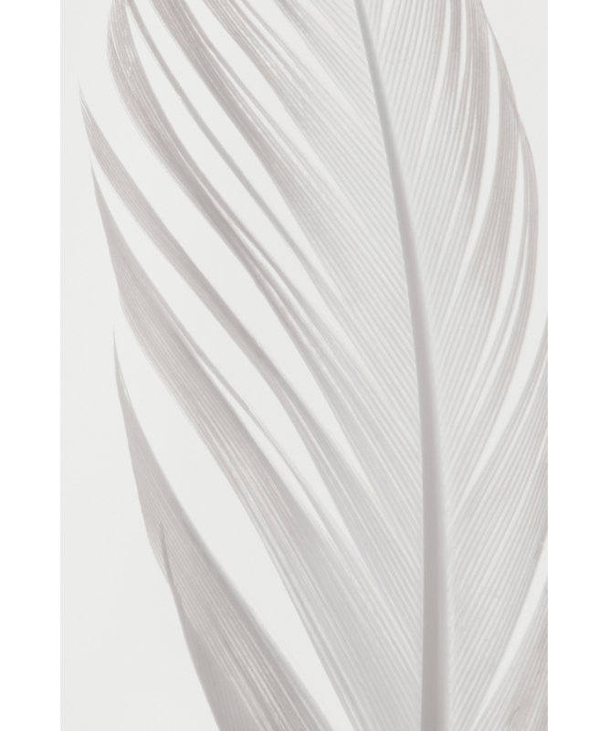 Wrapped Canvas Print, 81.28cm H x 121.92cm W
