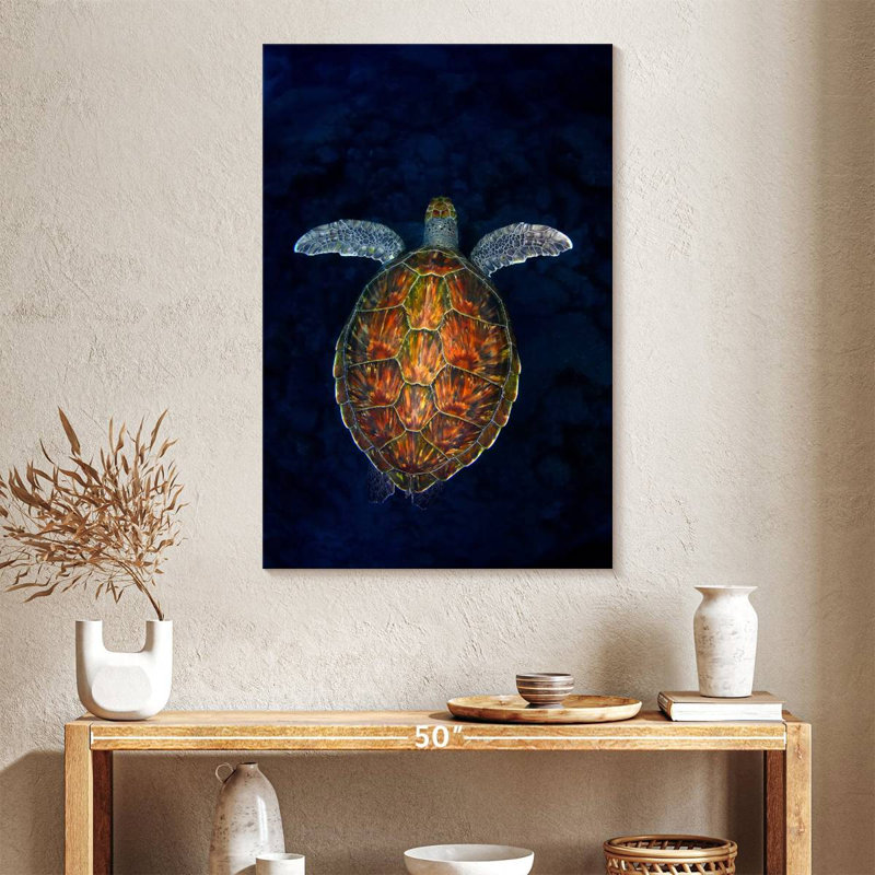 Brampt Turtle In The Abyss, 39" H x 26" W