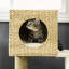 Arbre à chat pour l'intérieur avec lit moelleux, poteaux à griffer en tissage de quenouilles, exercice, panneau de particules stable, couleur blanche, assemblage requis