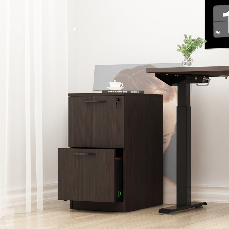 15.67 " Wide 2 Vertical Filing Cabinet, Espresso