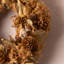 Handcrafted Faux Berry Wood 24cm Wreath-724726028