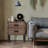 Reclaimed Wood Trunk Table Side Table S/3 With Large Storage Dress Up Your Liviing Room