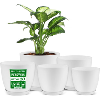 Rishvi Pot Planter