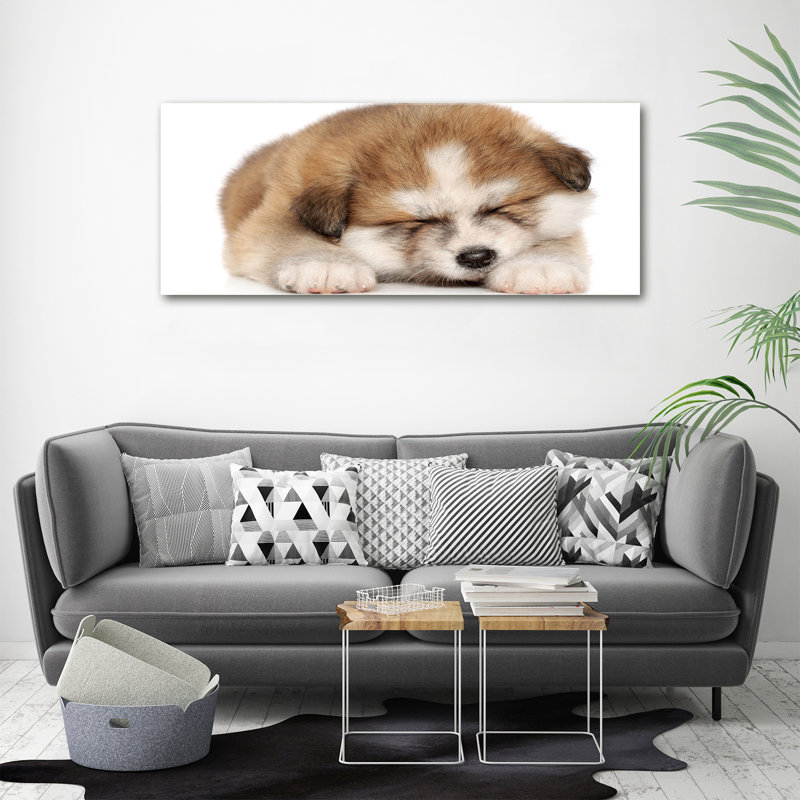 Akita Puppy - No Frame Print on Canvas