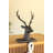 CAST IRON DEER STOCKING HOLDER