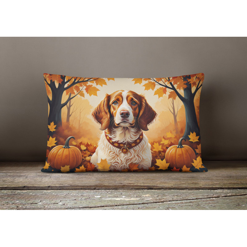  Other/No Pattern Polyester Indoor/Outdoor Throw Pillow