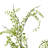 Leaves Arrangement