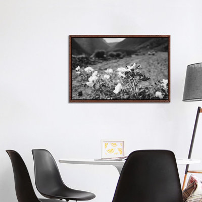 Monochrome Yosemite Blooms II by Bethany Young - Print on Canvas