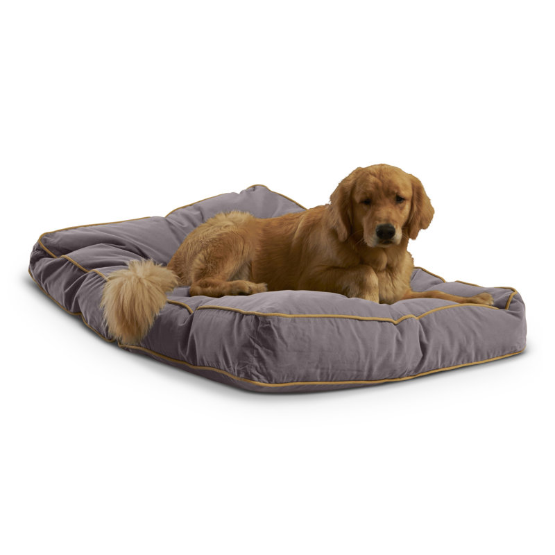Lit pour chien Olivarez Classic, Grand (L 48 po x l 36 po x H 6 po), Fumée