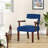 Naethan Upholstered Arm Accent Chair for Living Room, Accent Armchair-827454628