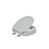 Ice Gray