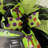 Witches' Brew Halloween Wreath-2084181465