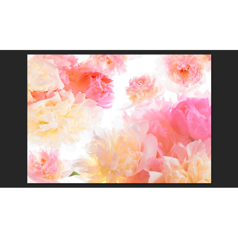 Pastel Peonies 245cm x 350cm Wallpaper, 300 cm x 210 cm