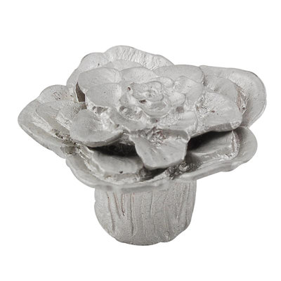 Carlotta Novelty Knob