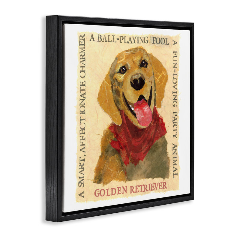 "Fun Golden Retriever", art mural encadré flottant par Nancy Overton, Cadre flottant noir de jais, H 25 po x l 25 po