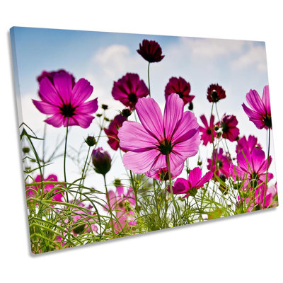 Cosmo Flower Field - Wrapped Canvas Print
