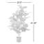 Figuier figuier en pot 41,25 po Amee