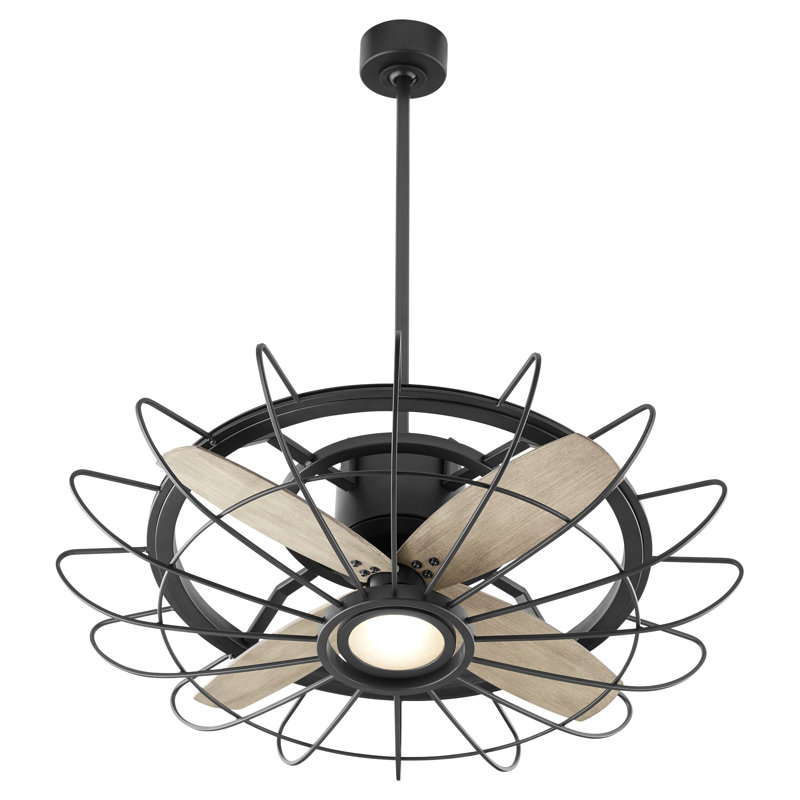 Ventilateur de plafond à cage 30 "à 4 pales avec commande murale et ensemble d'éclairage inclus Birt Whistle 30"