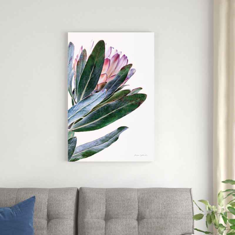 " Protea In Leaf ", 24" H x 36" W x 1.25" D