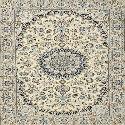 Oriental Indoor Rug