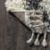 Cantera Power Loom Cream Rug