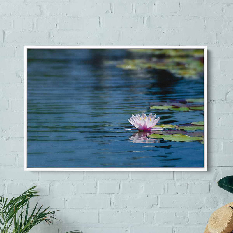Oldany " Blue Lotus ", White Floater Framed, 24" H x 36" W