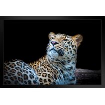 Close Up of Angry Leopard Photo Leopard Pictures Wall Decor Jungle Animal  Pictures for Wall Posters of Wild Animals Jungle Leopard Print Decor Animal  Wall Decor Matted Framed Art Wall Decor 20x26 