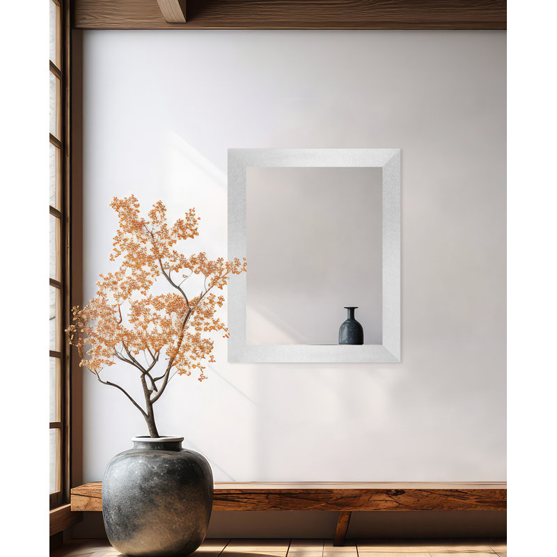 Miroir mural Maci Eileen, Tungstène argent, 33 po x 50 po