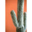 Cactus artificiel noir, hauteur 24,5 po, texturé, bocal H 24,5 po, réaliste, accessoire pour la maison
