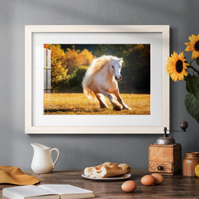 " Horse Motion IV " Painting Print